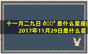 十一月二九日 🐳 是什么星座(2017年11月29日是什么星座 🐎 )